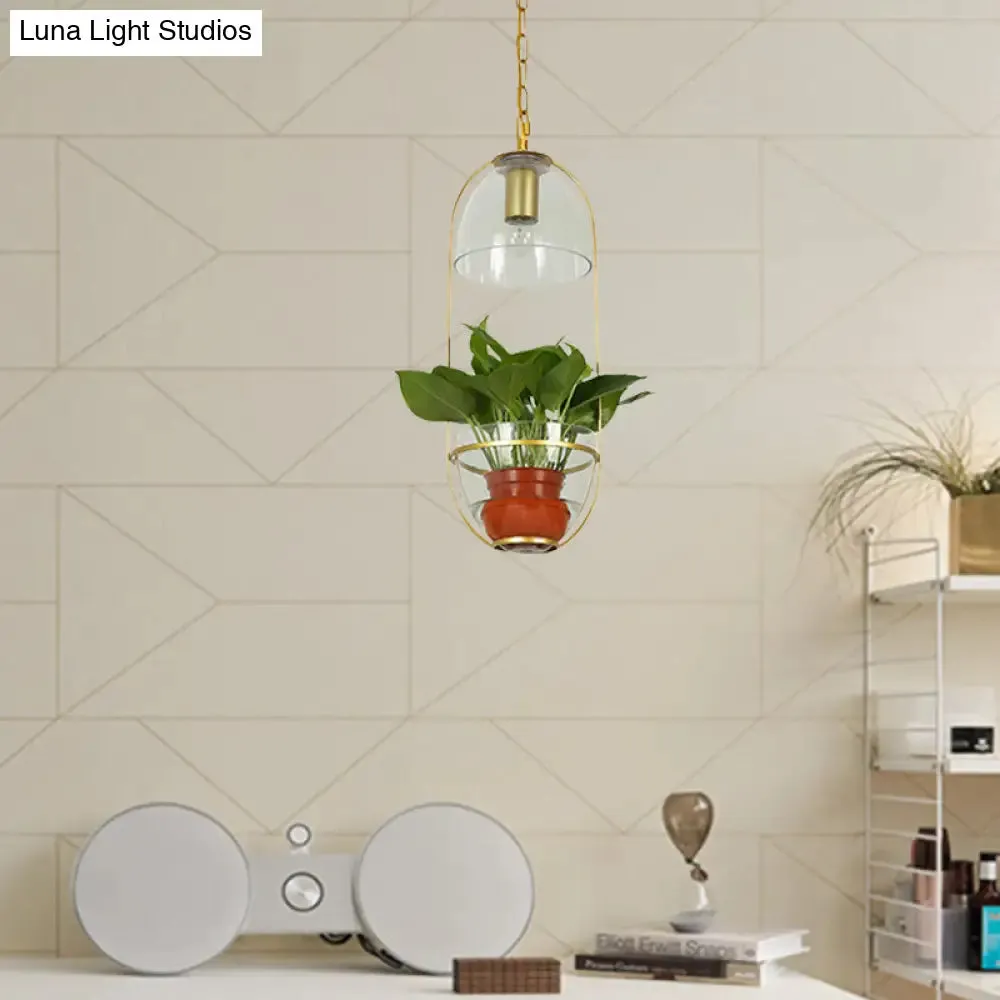 Farmhouse Pendant Light: White/Gold Drop Lamp with Clear Glass Bowl Shade, Oval Cage Fixture