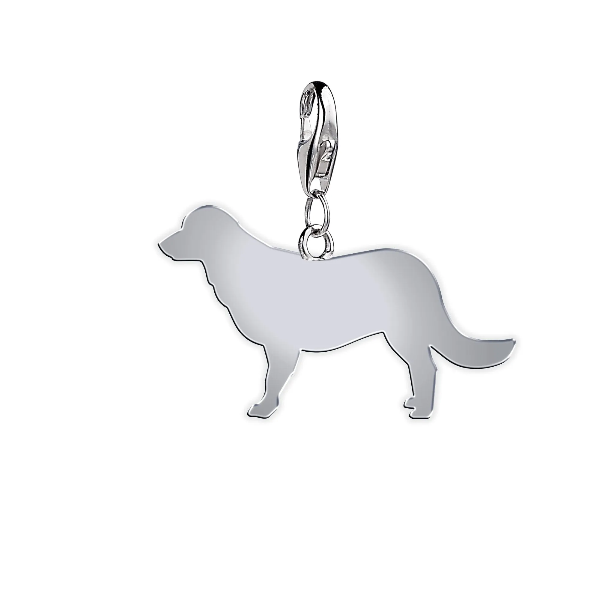 Flat-Coated Retriever Silhouette Silver Charm