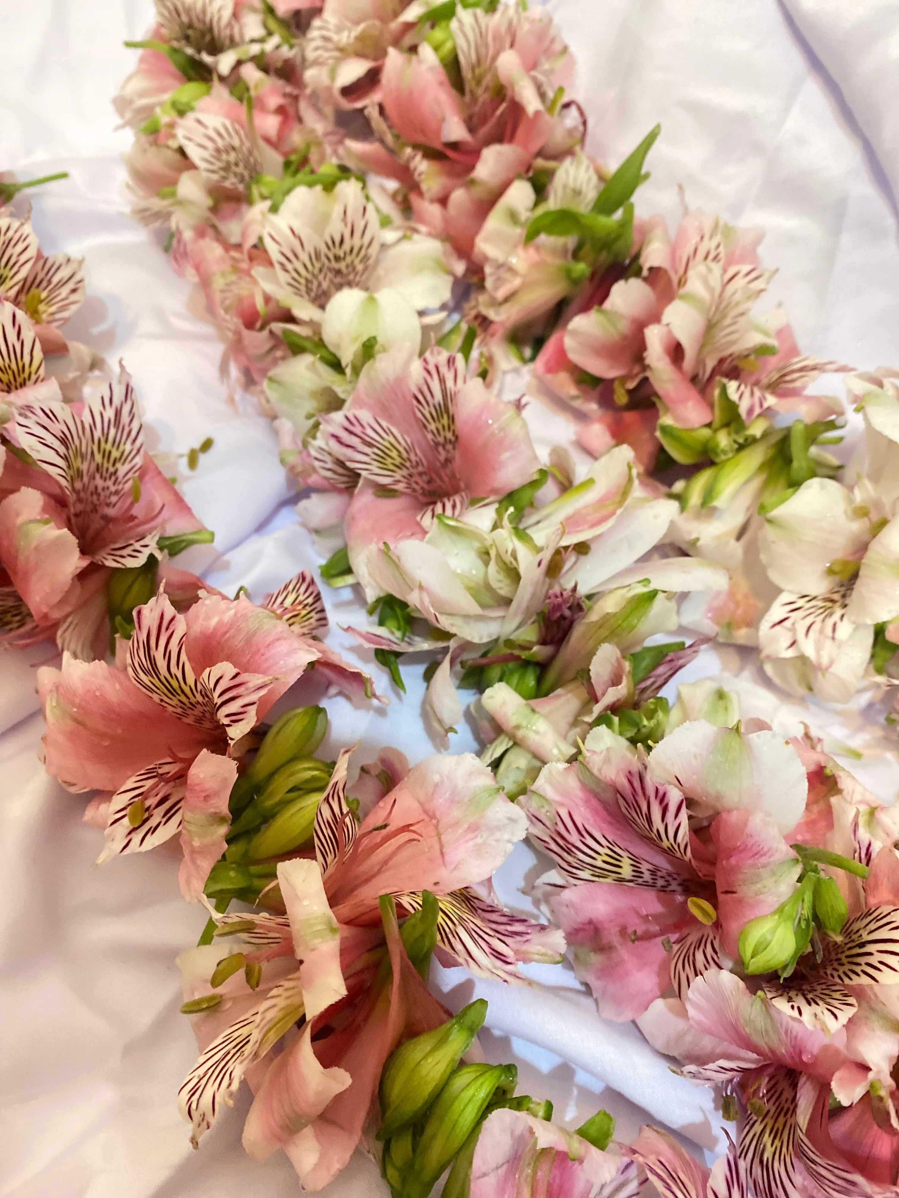 Kalung Bunga Penyambutan | Welcome Flower Necklace