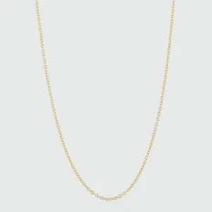 Paddington 9ct Yellow Gold Medium Trace Chain