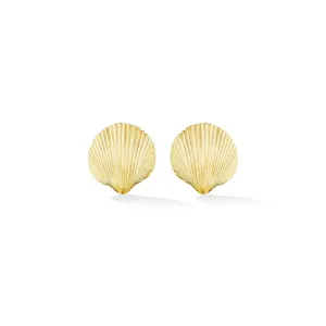 Small Yellow Gold Shell Stud Earrings