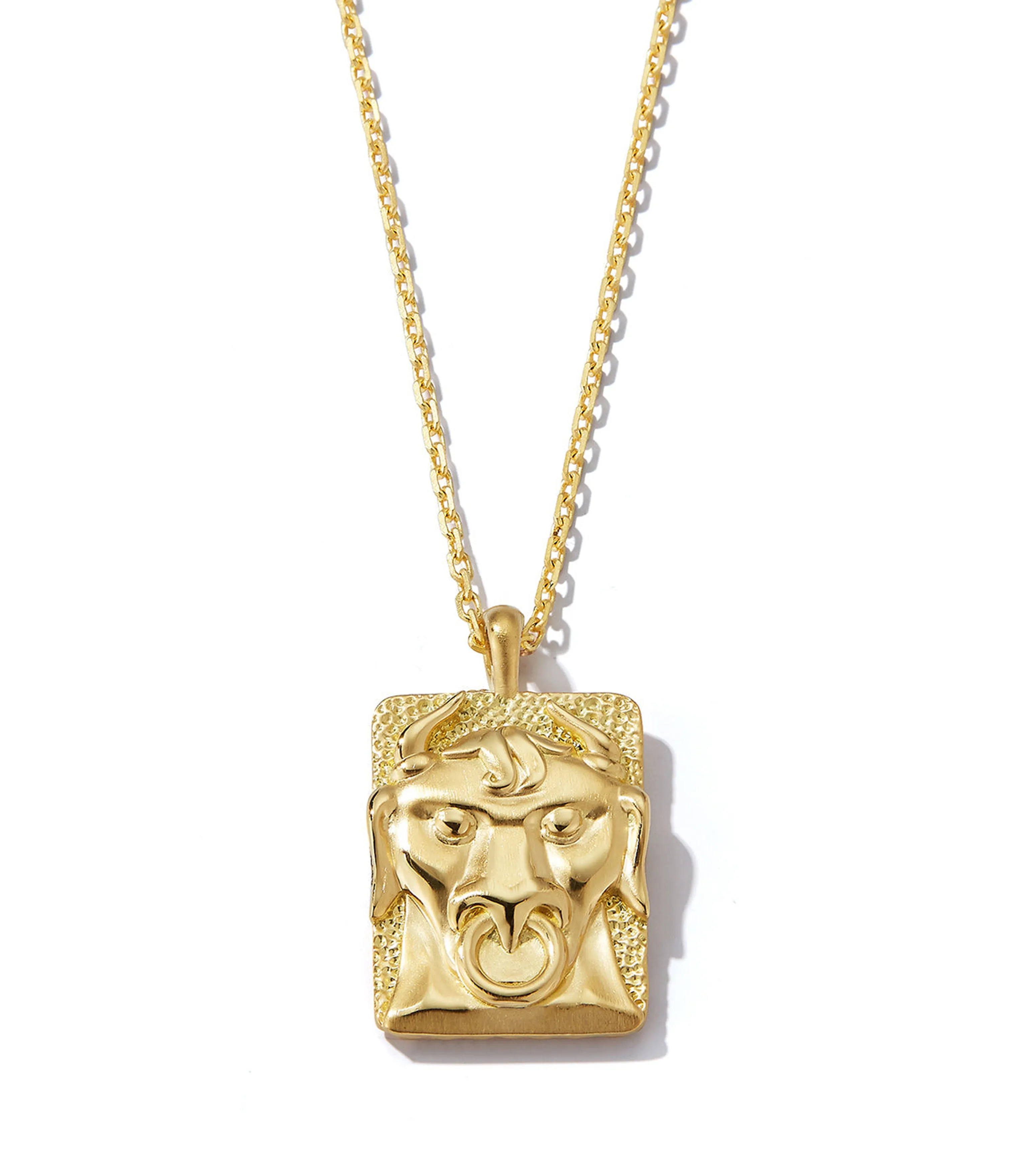 Taurus Zodiac Pendant Necklace